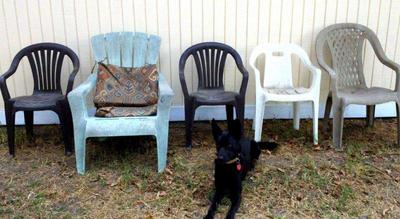 Patio chairs