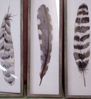 Framed image of large feathers