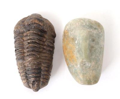 Lot 58 ammonite fossil mezcala green stone mask