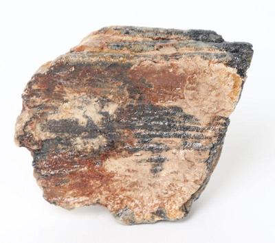 Lot 102 fossilized mammoth tooth section