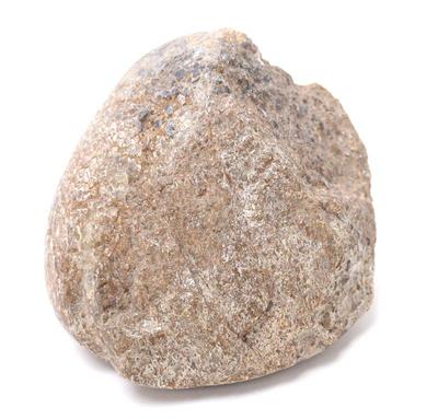 Lot 107 small section of fossilized dinosaur bone
