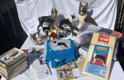 Boston terrier group 4
