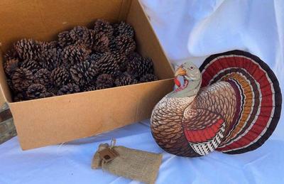 Stuffed turkey pinecones & candles