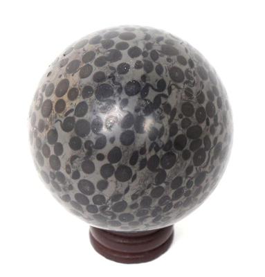 Lot 414 incredibly unique fossilized dinosaur bone sphere