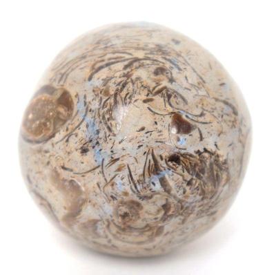 Lot 421 lovely polished dinosaur sphere