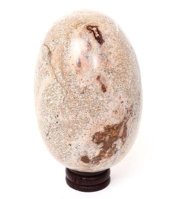 Lot 419 gorgeous fossilized dinosaur bone egg shape wstand