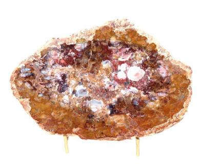 Lot 415 gorgeous slab of petrified wood wstand