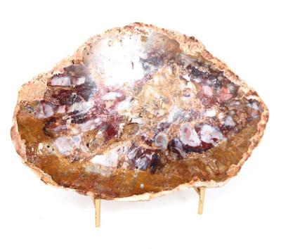 Lot 416 lovely natural petrified wood slab wstand