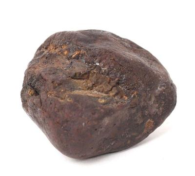 Lot 410 ancient meteorite specimen oregon