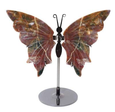 Lot 383 gorgeous natural ocean jasper butterfly