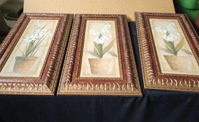 Framed orchid prints