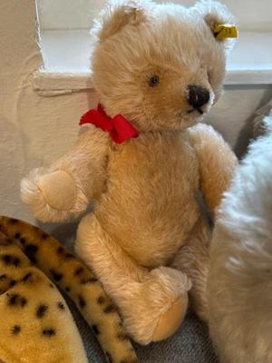 Steiff bear