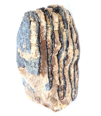 Lot 207 large section of wooly mammoth molar