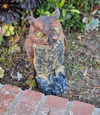 Pic20aowl