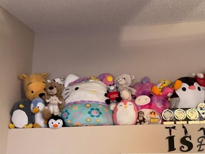 Lots of stuffed animals
