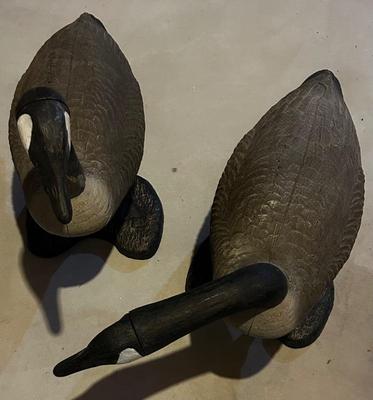 Goose Decoys