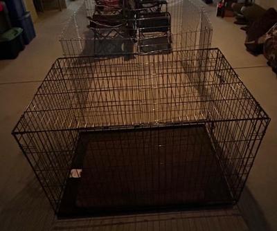 Dog Cages