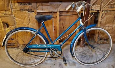 Vintage 20 inch phillips playbike