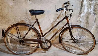 Women s raleigh 3 speed bike 22 inch
