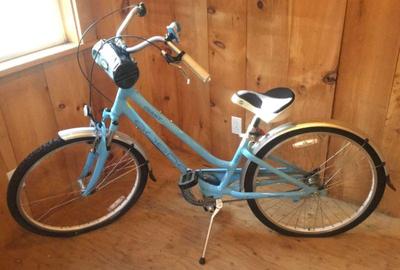 Suede giant bike