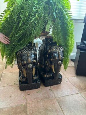 5d898a65 8282 47e2 8ff4 288ed4906eec 1 105 c