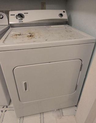 Kenmore dryer