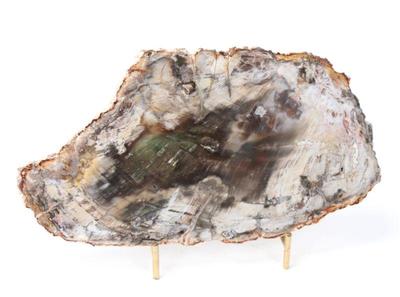 Lot 221 gorgeous petrified wood slab wstand