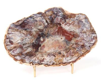 Lot 226 stunning petrified wood slab with stand