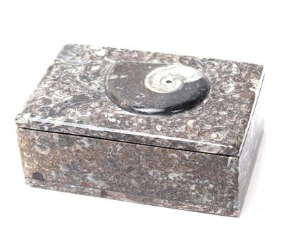 Lot 220 composite fossilized ammonite jewelry box