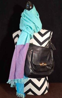 Authentic Coach Leather Purse Handbag * Blue Nordstrom Cashmere Scarf
