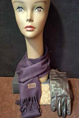 Coach Cashmere Scarf And Coach Pouch * Fownes Bros. Leather Gloves
