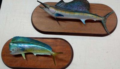 Fish mounts decor