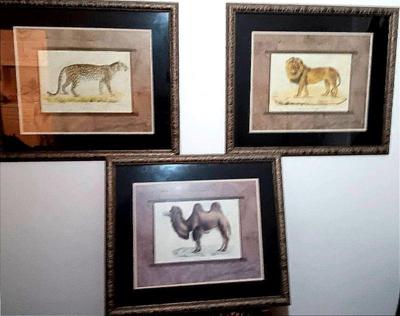 3 prints of wild animals