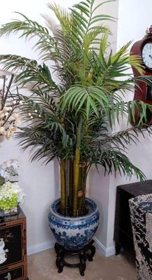 Asian planter faux bamboo, and stand