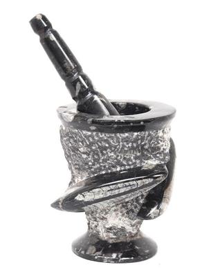 Lot 209 lovely fossil mortar and pestle orthoceras fossils