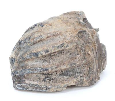Lot 199 fossilized mammoth molar section