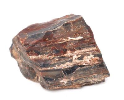 Lot 207 wonderful petrified wood section