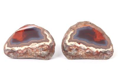 Lot 169 cut and polished condor agate