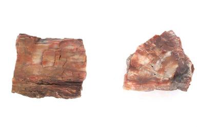 Lot 208 two pieces of red fossilized wood
