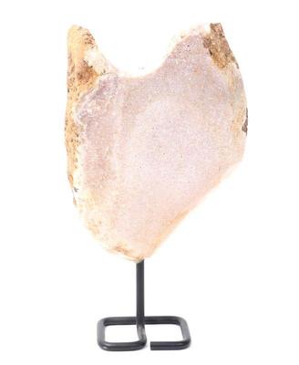 Lot 205 huge dinosaur bone slab section