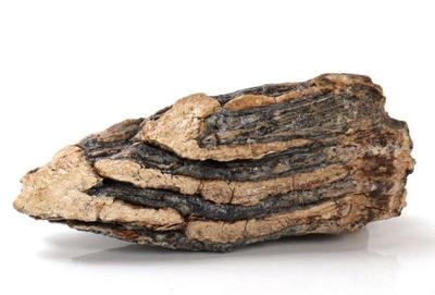 Lot 208 wonderful large mammoth tooth section