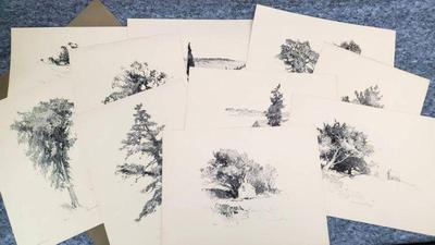 Antique charles h woodbury tree studies prints