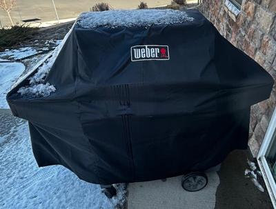 Weber Grill 