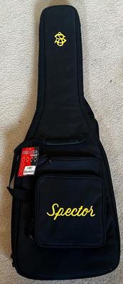 Guitar Case