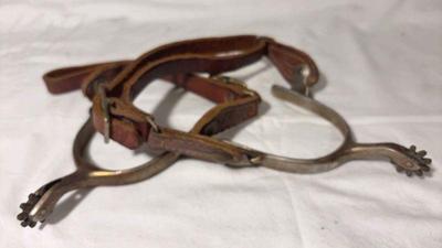 Western spurs