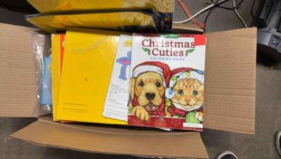 Mystery lot craft and educational workbook