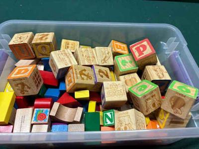 Tub of wooden blocks and shapes