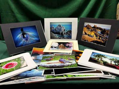 Pictures of landscapes sunsets, flower, birds & more