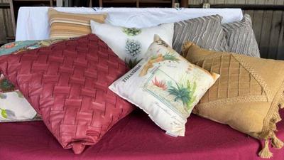 Mystery lot of throw pillows