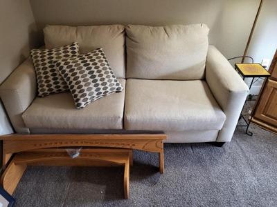Sleeper Sofa